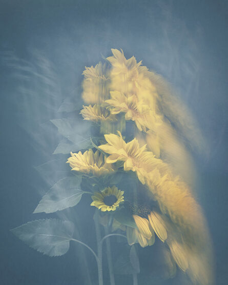 Joyce Tenneson, ‘Sunflowers’, 2021