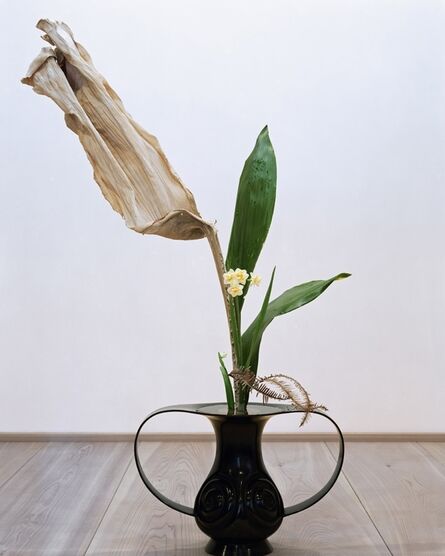 anothermountainman (Stanley Wong), ‘anothermountainman x Shuho - reborn ikebana - 03A’, 2011
