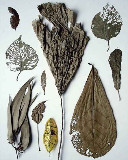anothermountainman (Stanley Wong), ‘scavenging / existing in respect / 7 // ten yellow leaves’, 2006-2007