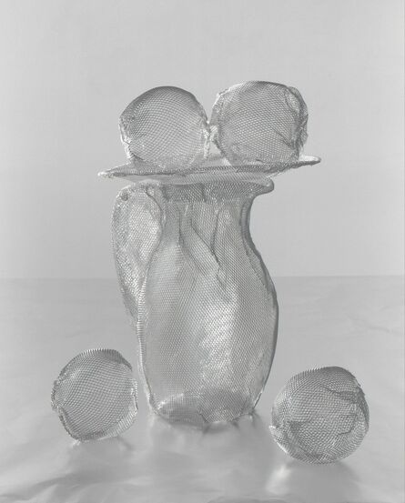David Goldes, ‘Mesh Objects (After Picasso #1)’, 2005