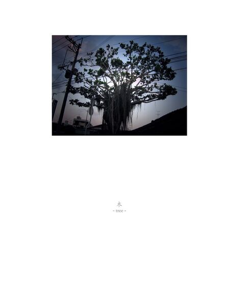 Osamu James Nakagawa, ‘tree’, 2001-2009