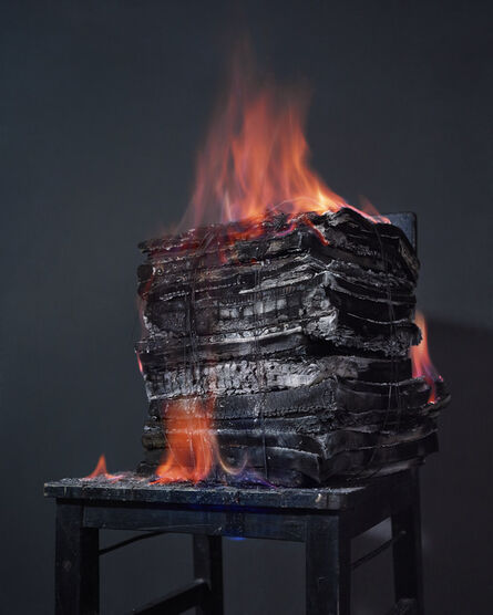 Chen Xiaoyun, ‘Special knowledge protection association made an assumption on “language”: Burning is the negative form of light’, 2014