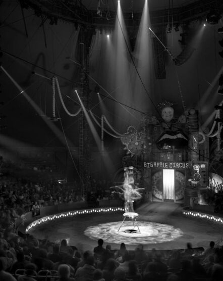 Matthew Pillsbury, ‘Contortionist, Big Apple Circus, New York City, 2011 (TV11528)’, 2011