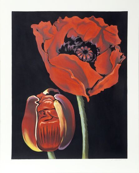 Lowell Nesbitt, ‘Red Poppies’, 1979