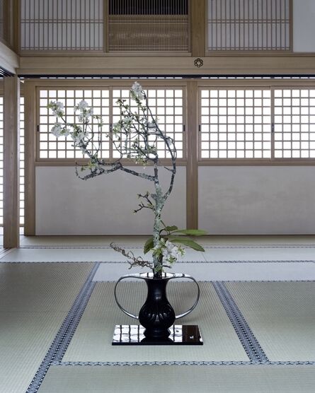 anothermountainman (Stanley Wong), ‘anothermountainman x Shuho - reborn ikebana - 06A’, 2011