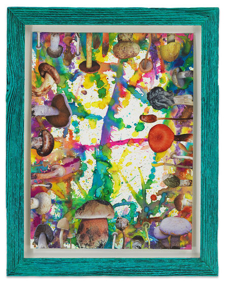 Douglas Melini, ‘Untitled (SHRooMS turquoise frame)’, 2020