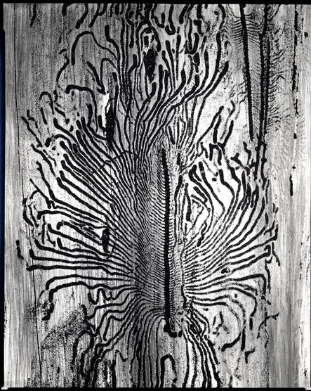 Brett Weston, ‘Worm Tracks, California’, 1937 (printed later)