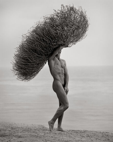 Herb Ritts, ‘Male Nude with Tumbleweed’, 1986