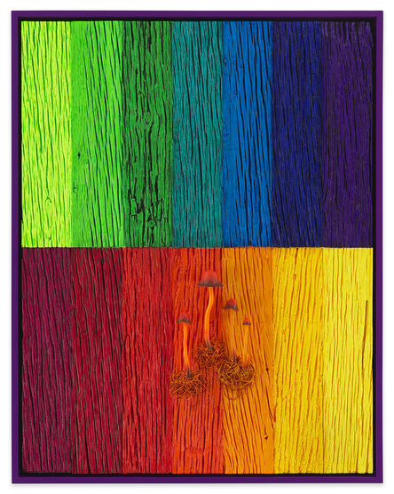 Douglas Melini, ‘Untitled (full spectrum landscape with mushrooms/orange)’, 2022