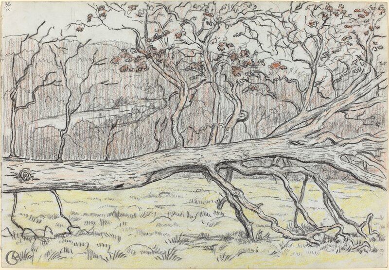 Georges Lacombe, ‘Felled Tree, Normandy’, 1898, Drawing, Collage or other Work on Paper, Charcoal with red-brown and yellow crayon, National Gallery of Art, Washington, D.C.