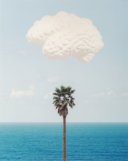 John Baldessari, ‘Brain / Cloud (With Seascape and Palm Tree)’, 2009