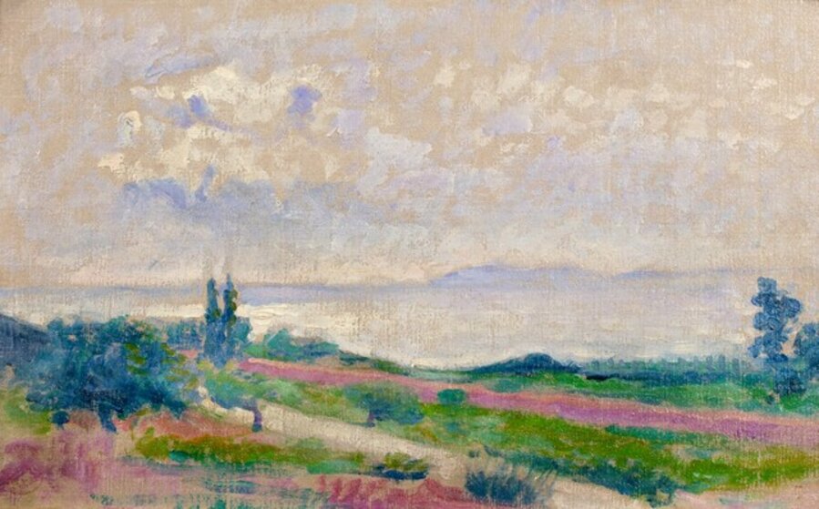 Paysage du Lavandou