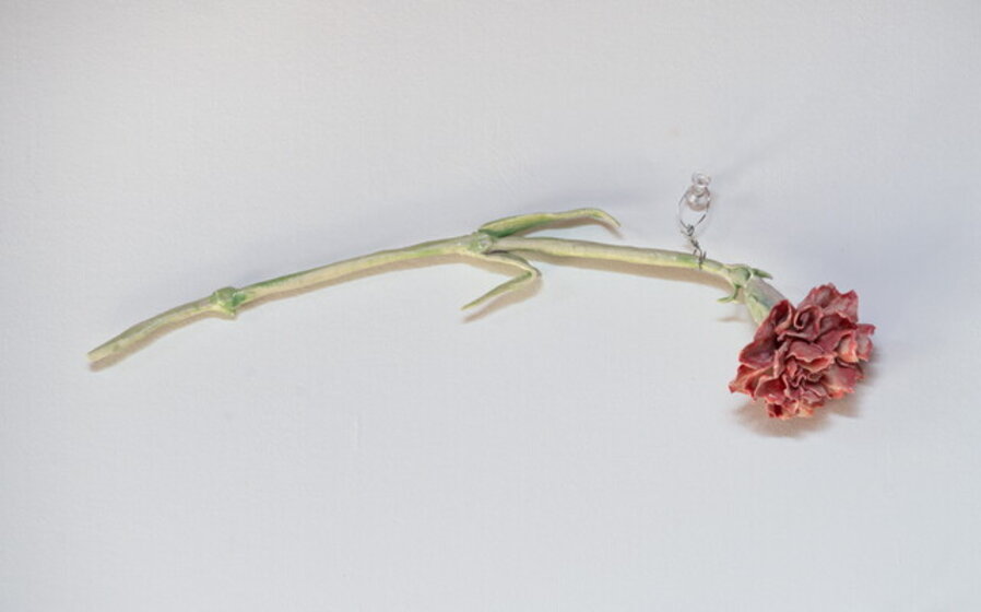 Red Carnation 2