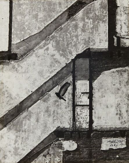 André Kertész, ‘Landing Pigeon, March 2, New York’, 1960