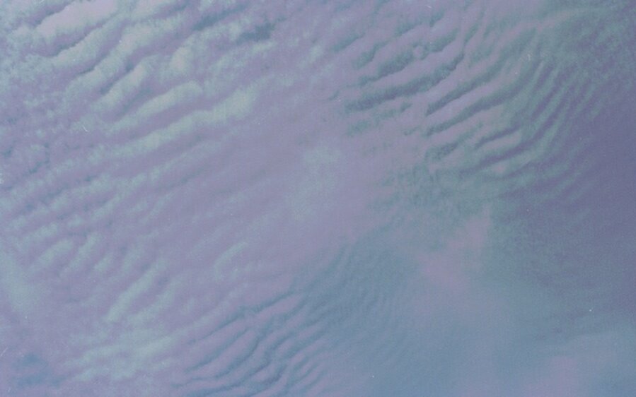 look up what you see