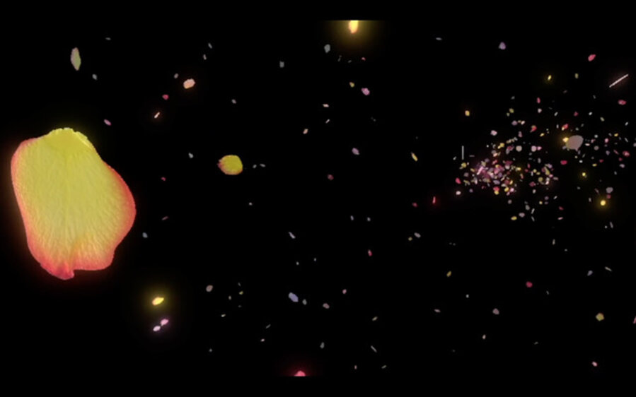 Cloud of Petals Interactive VR Experience #4