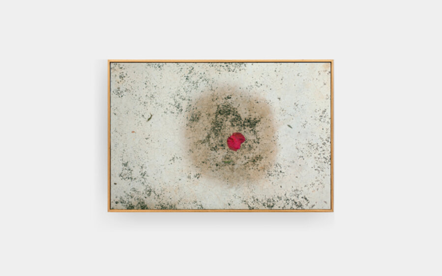 Untitled, from the series Moist