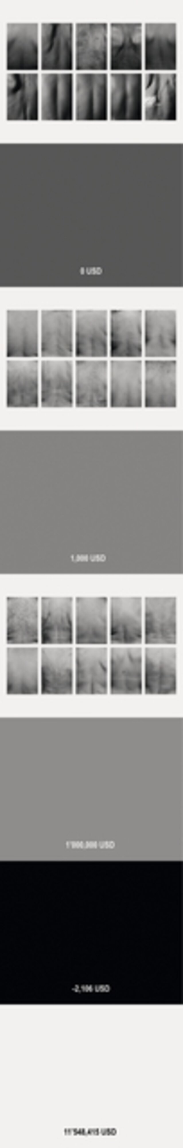 Economical Study on the Skin of Caracans