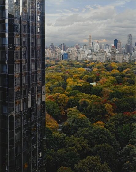 Robert Polidori, ‘View of Central Park toward the East, New York, NY’, 2000