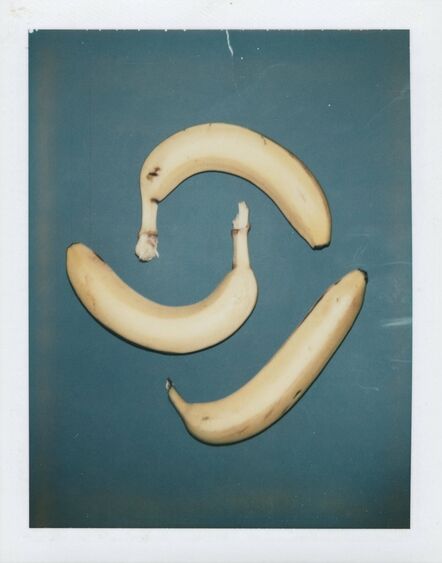 Andy Warhol, ‘Polaroid Photograph of Bananas ’, 1978