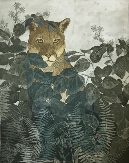 Julia Lucey, ‘Mountain Lion in Elk Clover, Sword Fern and Stream Orchid’, 2015