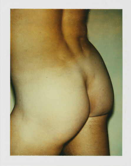 Andy Warhol, ‘Color Polaroid 'Sex Parts and Torsos' by Andy Warhol’, ca. 1977