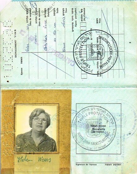 Soheila Sokhanvari, ‘Israeli Passport’, 2010