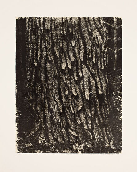 Rudy Burckhardt, ‘Large Pine Tree’, 1999