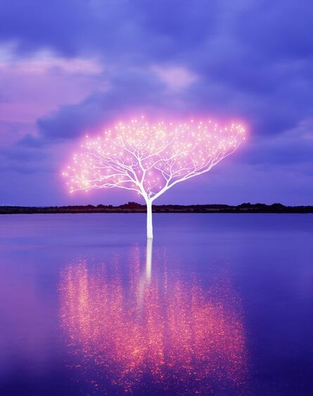 Lee Jeonglok, ‘Tree of Life in Island 5-4-8’, 2013