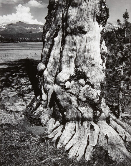 Ansel Adams, ‘Tuolumne Meadows, Yosemite National Park, CA’, 1941