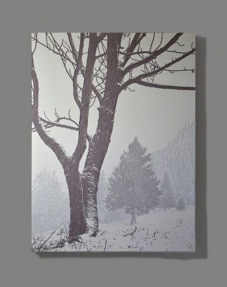 Christian Verginer, ‘The First Snowfall’, 2014