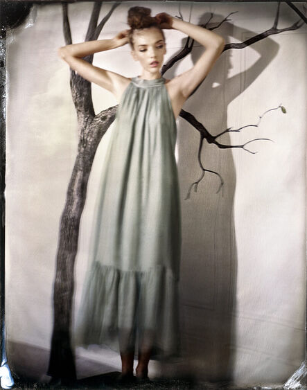 Barbara Cole, ‘In a Tree, Shadow Dancing Series, Ed. III’, 2022