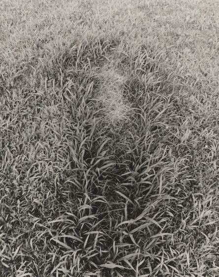 Ana Mendieta, ‘Untitled, from the series Silueta Works in Iowa’, 1978