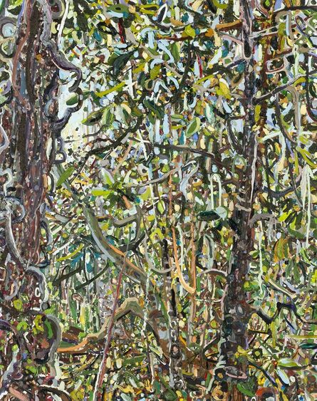 Lilian Garci-Roig, ‘Hyperbolic Nature: North Florida Woods’, 2018