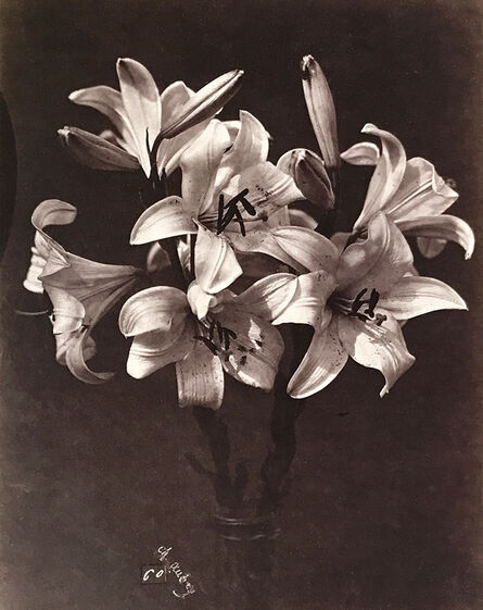 Charles Aubry, ‘Lilies in Glass Vase’, 1864c/1864c