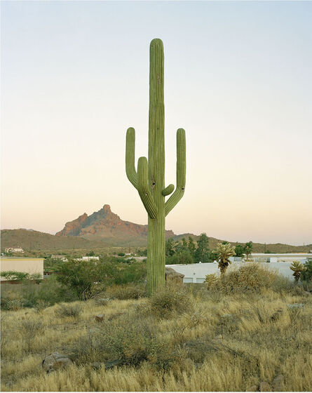 Robert Voit, ‘East Cosmic Drive, Fountain Hills, Arizona’, 2005