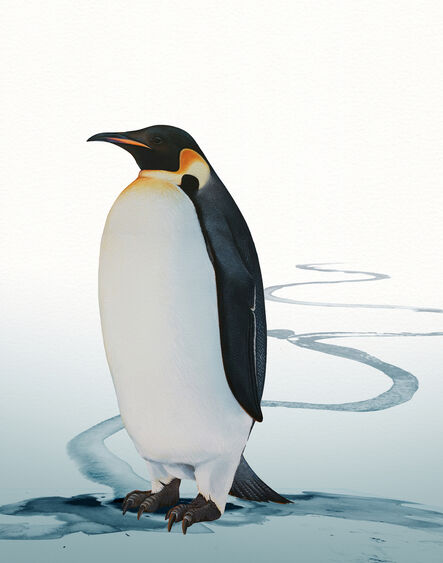 Ink Dwell (Jane Kim), ‘Emperor Penguin’, 2020