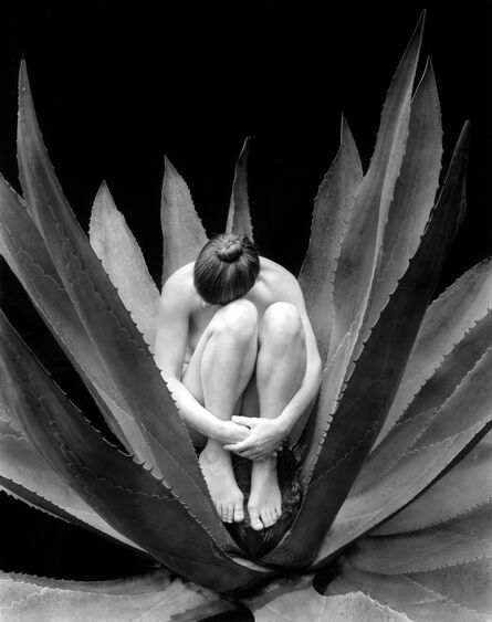 Kim Weston, ‘Nude in Cactus, Wildcat Hill, Carmel’, 1999