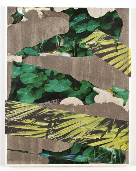 Letha Wilson, ‘Hawaii Nevada Flora Concrete Bend’, 2020