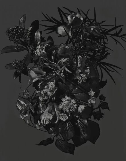 Valérie Belin, ‘Sans titre (Série Bouquets) ’, 2008