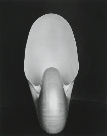 Edward Weston, ‘'Shell'’, 1927