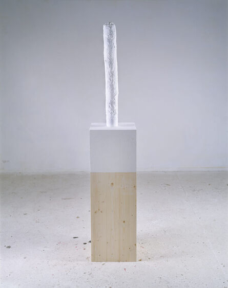 Franz West, ‘Paßstück (Adaptive)’, 2007