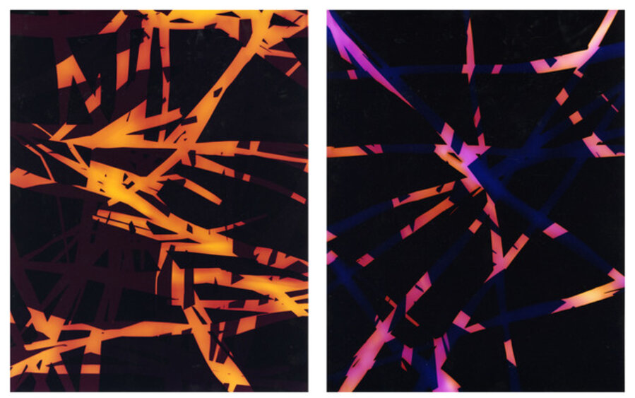 Diptych: Language of Flowers - False Message (Iris) IV, and Message (Iris) IX