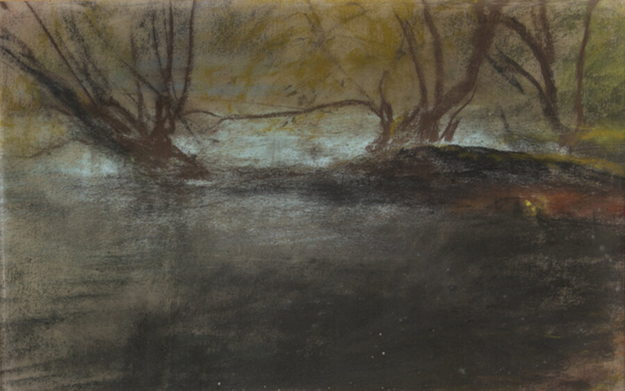 Pontine swamp