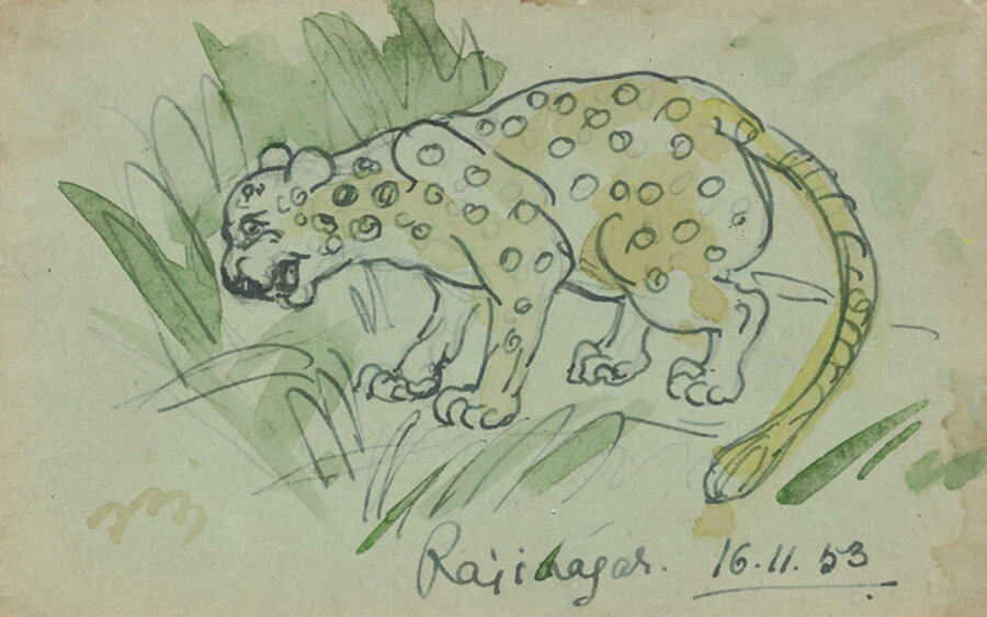 Tiger