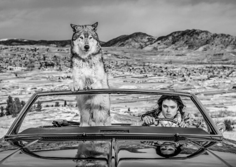 David Yarrow, ‘The Richest Hill in the World, Montana USA’, 2020, Photography, Archival Pigment Photograph, Holden Luntz Gallery