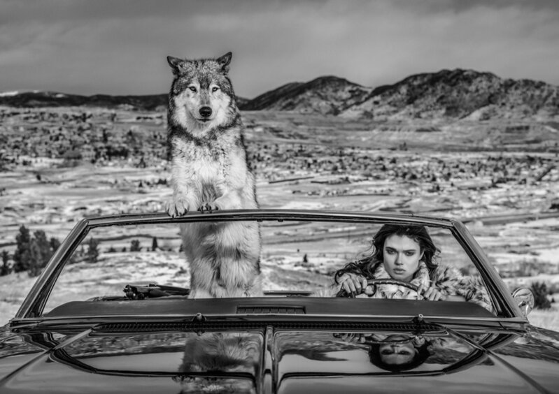 David Yarrow, ‘The Richest Hill in The World’, 2020, Photography, Archival Pigment Print, Hilton Contemporary