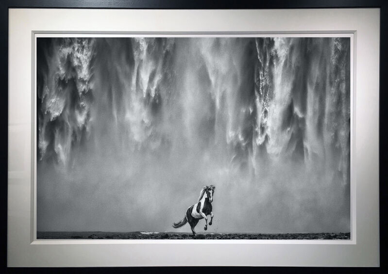 David Yarrow, ‘Legends of the Fall’, 2020, Photography, Archival Pigment Print, Samuel Lynne Galleries