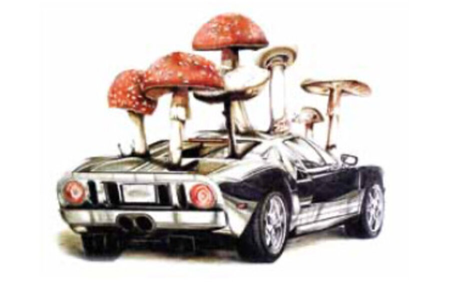 Recycled Mustang