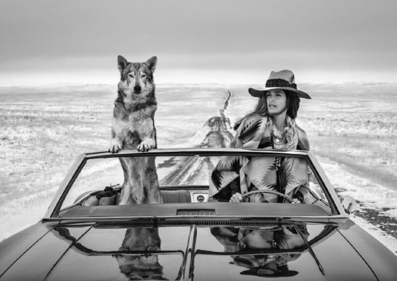 David Yarrow, ‘On the Road Again’, 2022, Photography, Archival Pigment Ink, Off-Piste Fine Arts